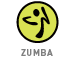 Zumba Pro Skills
